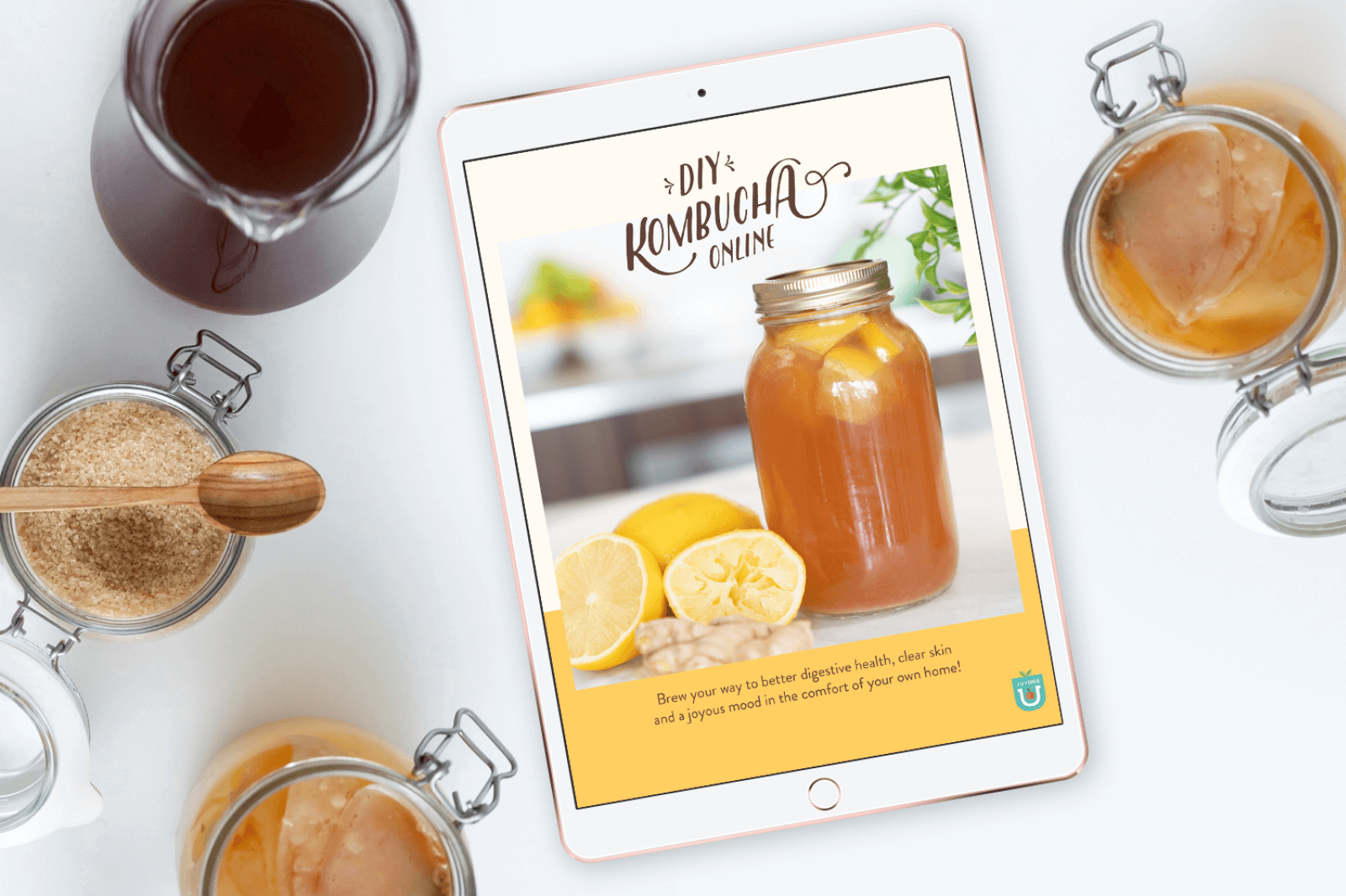 DIY Kombucha Online thumbnail