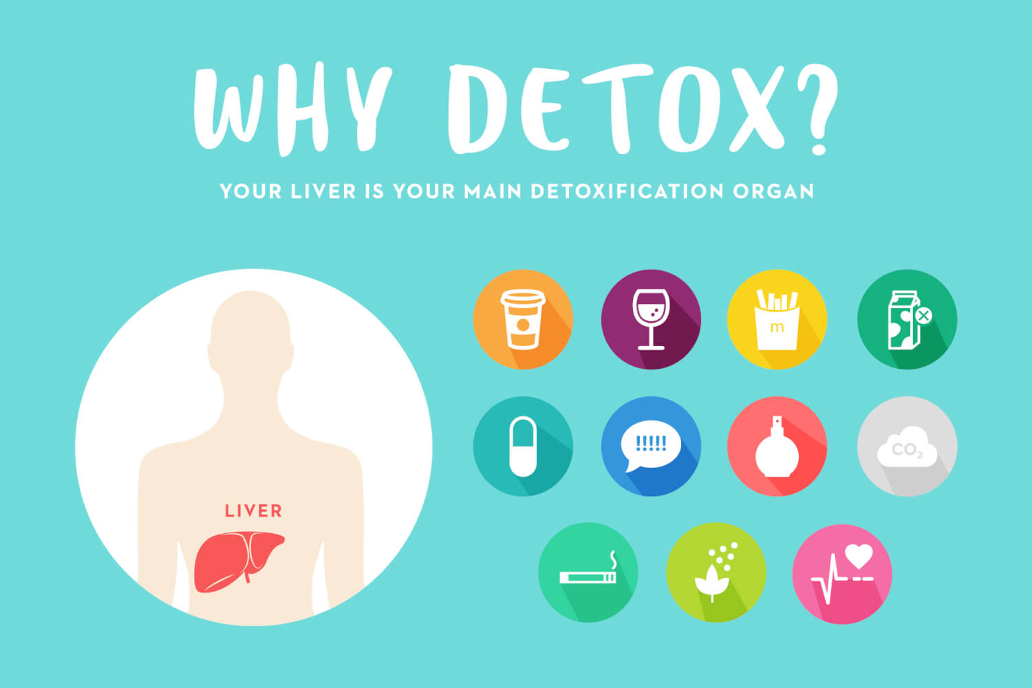 Liver Detox Diagram Image collections - How To Guide And 